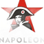 napoleongamescasino.com.ro favicon